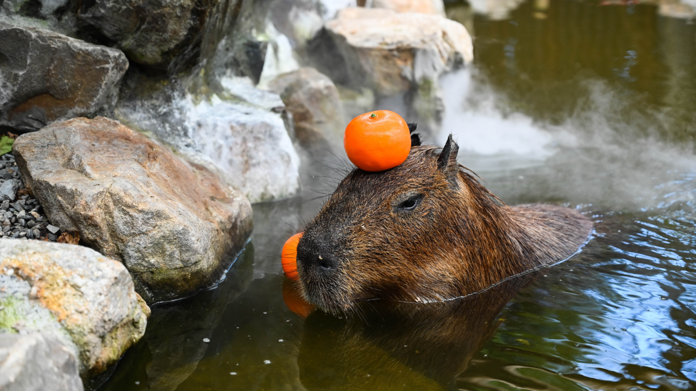 Contact Us | Ghost Ranch Exotics