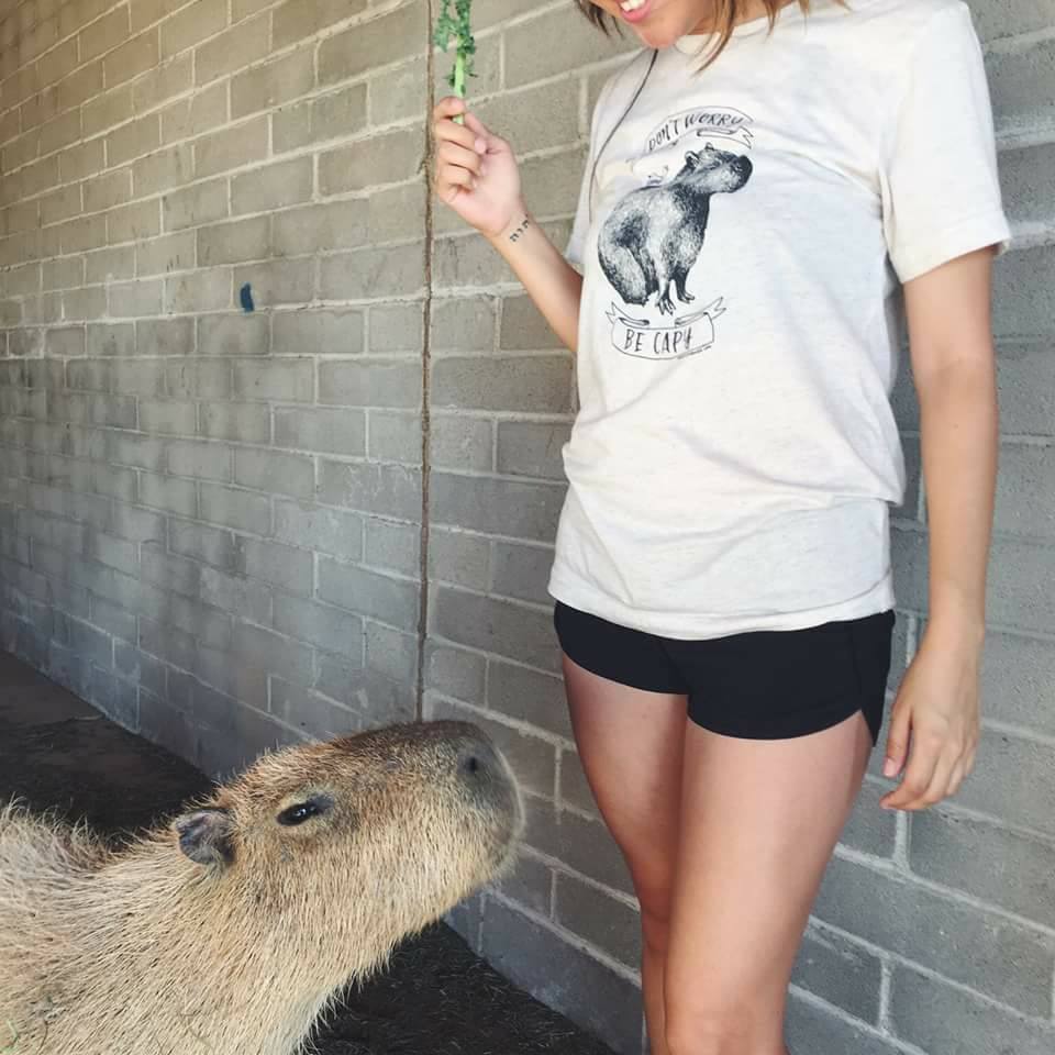 Woman in sunglasses feeds capybara near brick wall.