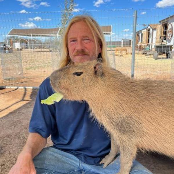 Man with long hair sitting, feeding lettuce to a capybara.
