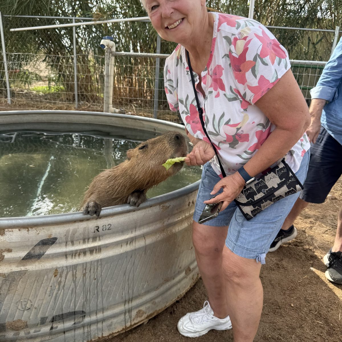 Person in floral shirt feeding capybara near a water tank.